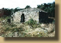 064 - Une grosse Capitelle