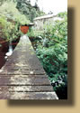 290 - La passerelle du moulin de Cathala