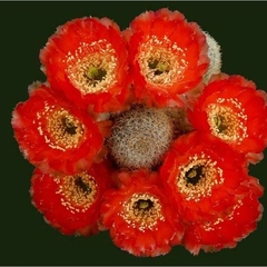 008