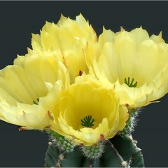 022