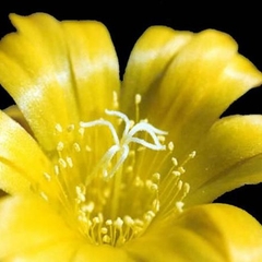 037