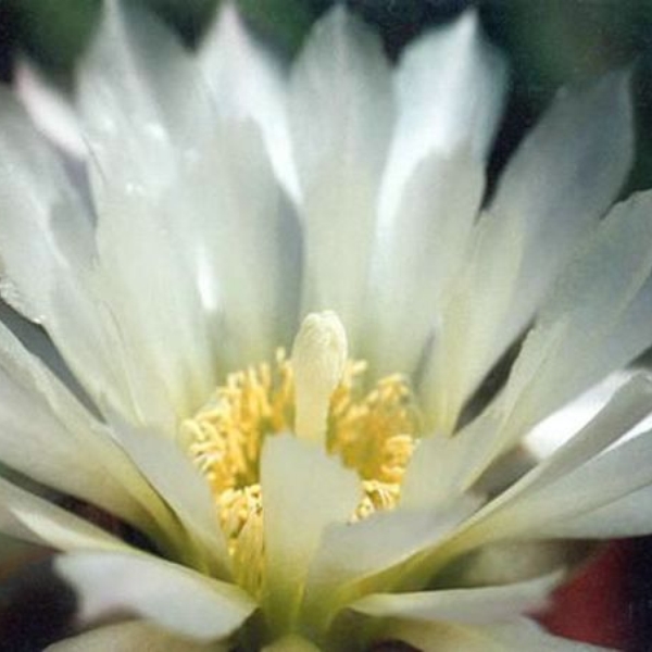038