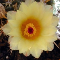 045