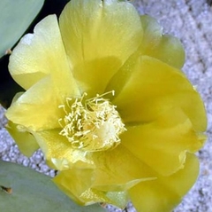 046