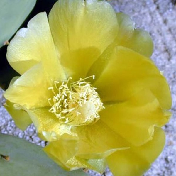 046