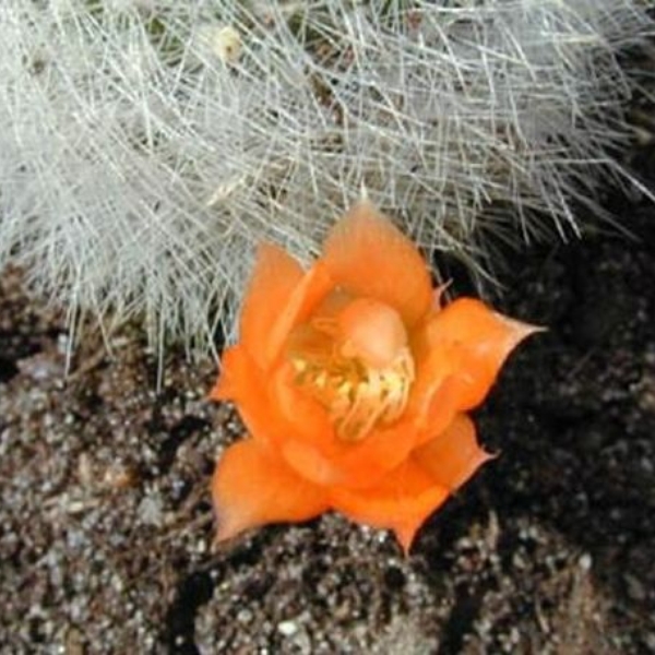 048