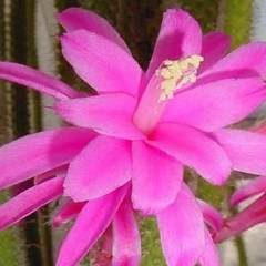 051