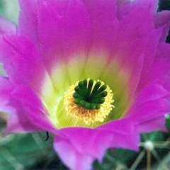 057
