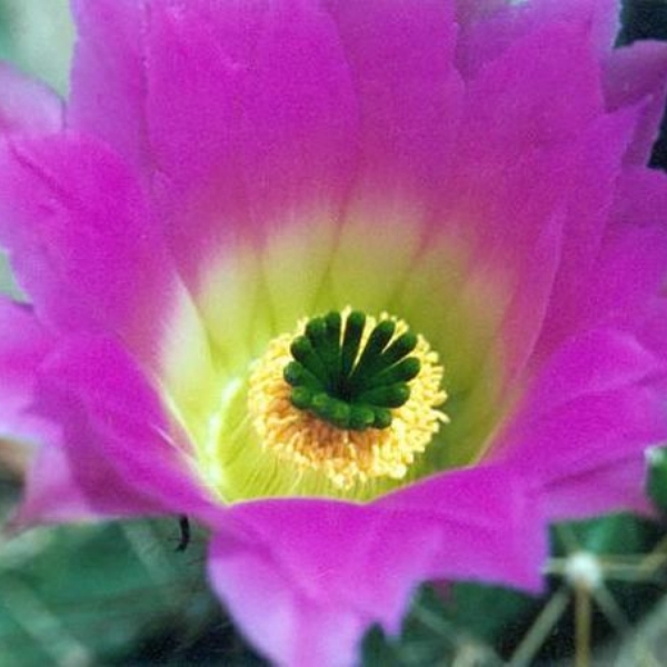 057