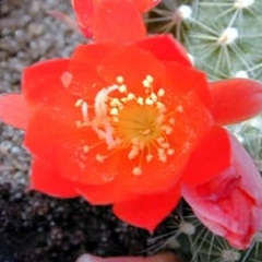 058