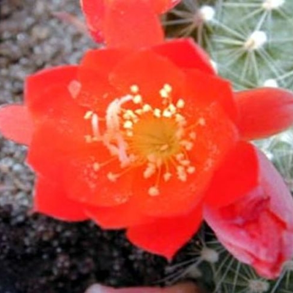 058