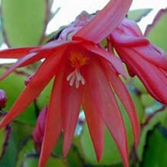 059