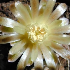 070