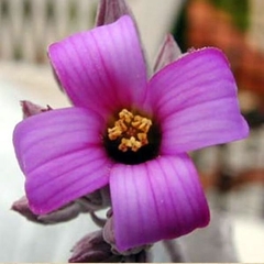 072