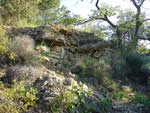 Capitelle n° 95