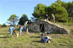 Capitelle n° 23