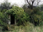 Capitelle n° 3