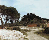 La colline Saint-Roch