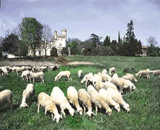 Le chateau de Villeneuve