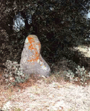 La pierre plantée