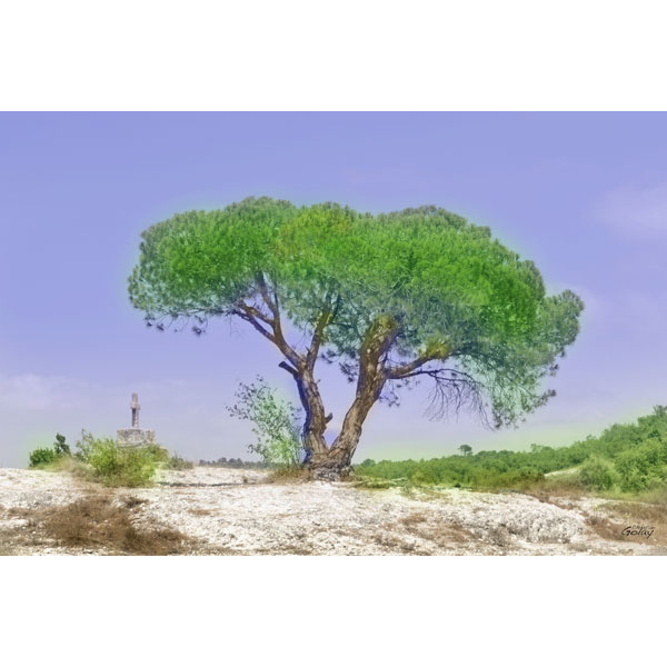 09