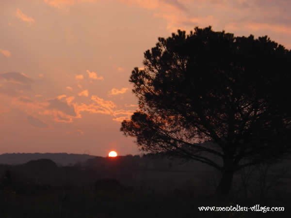 Levers de soleil sur MONTOLIEU