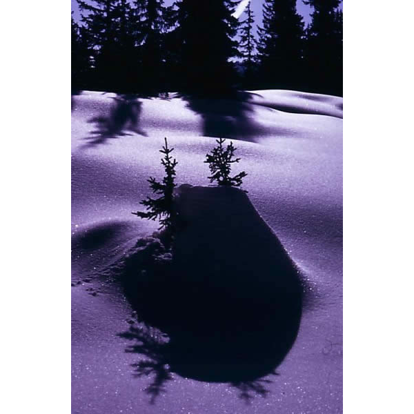 097