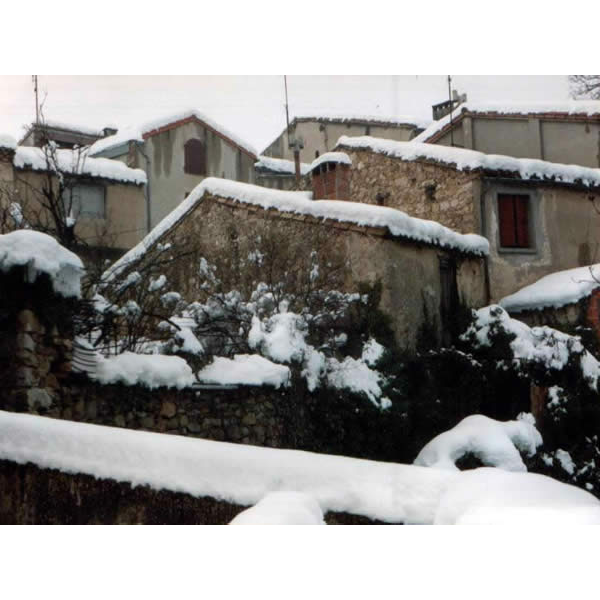 119