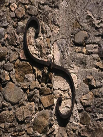 41