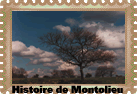 Cliquez pour voir la galerie