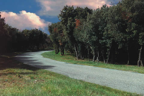 Cliquez dans la photo pour revenir aux photos de la voirie urbaine et rurale montolivaine