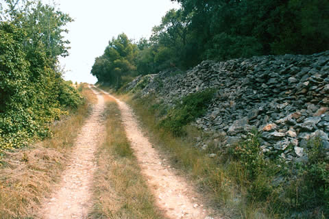 Cliquez dans la photo pour revenir aux photos de la voirie urbaine et rurale montolivaine