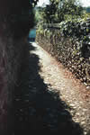 Cliquez pour agrandir la photo