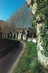 Cliquez pour agrandir la photo