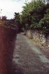 Cliquez pour agrandir la photo