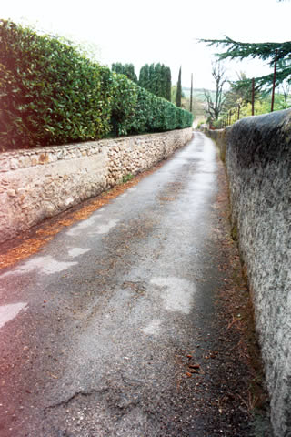 Cliquez dans la photo pour revenir aux photos de la voirie urbaine et rurale montolivaine