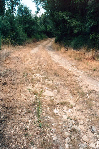 Cliquez dans la photo pour revenir aux photos de la voirie urbaine et rurale montolivaine