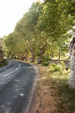 Cliquez dans la photo pour revenir aux photos de la voirie urbaine et rurale montolivaine