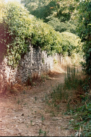 Cliquez dans la photo pour revenir aux photos de la voirie urbaine et rurale montolivaine